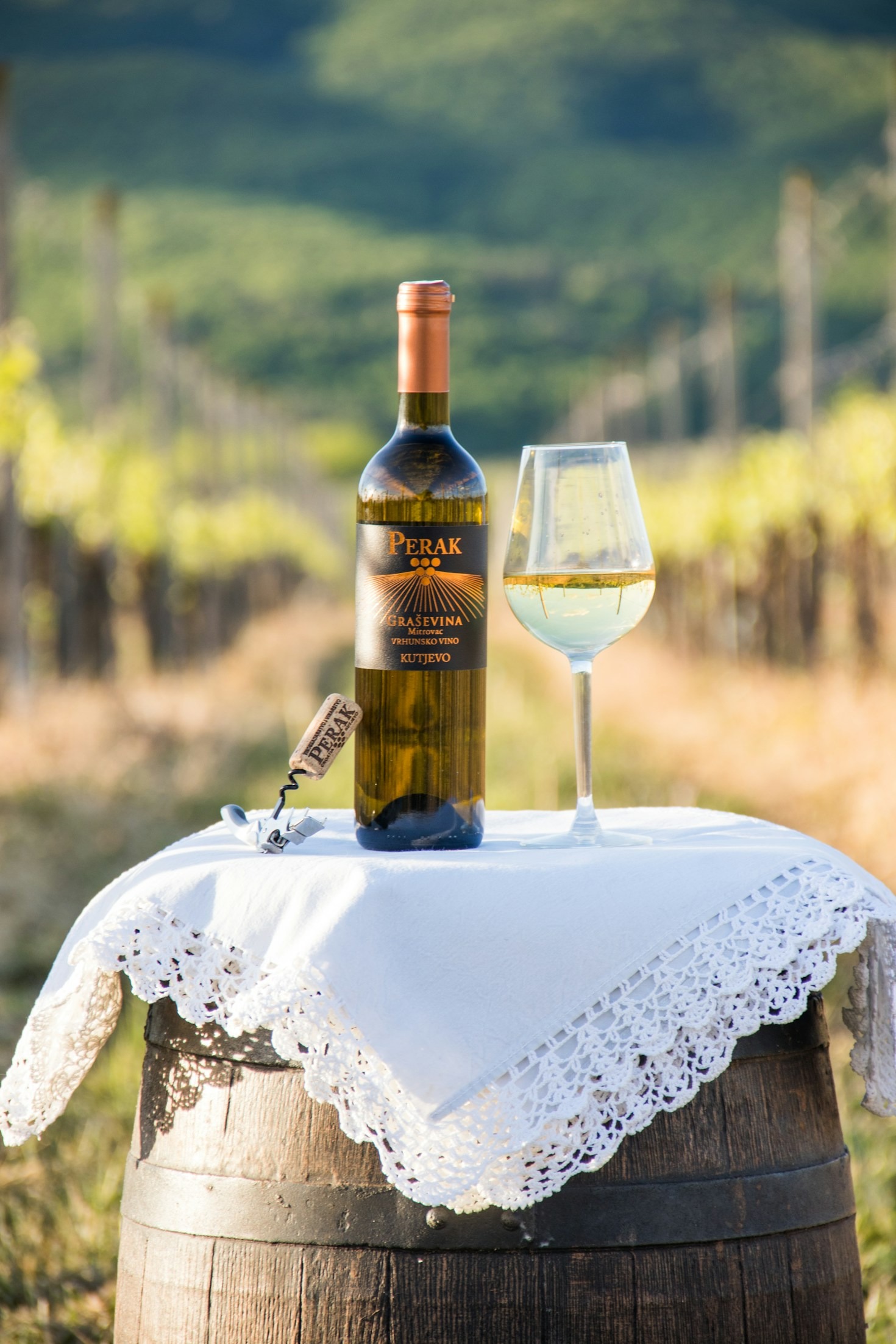 Visita tra i filari: il fascino delle cantine toscane