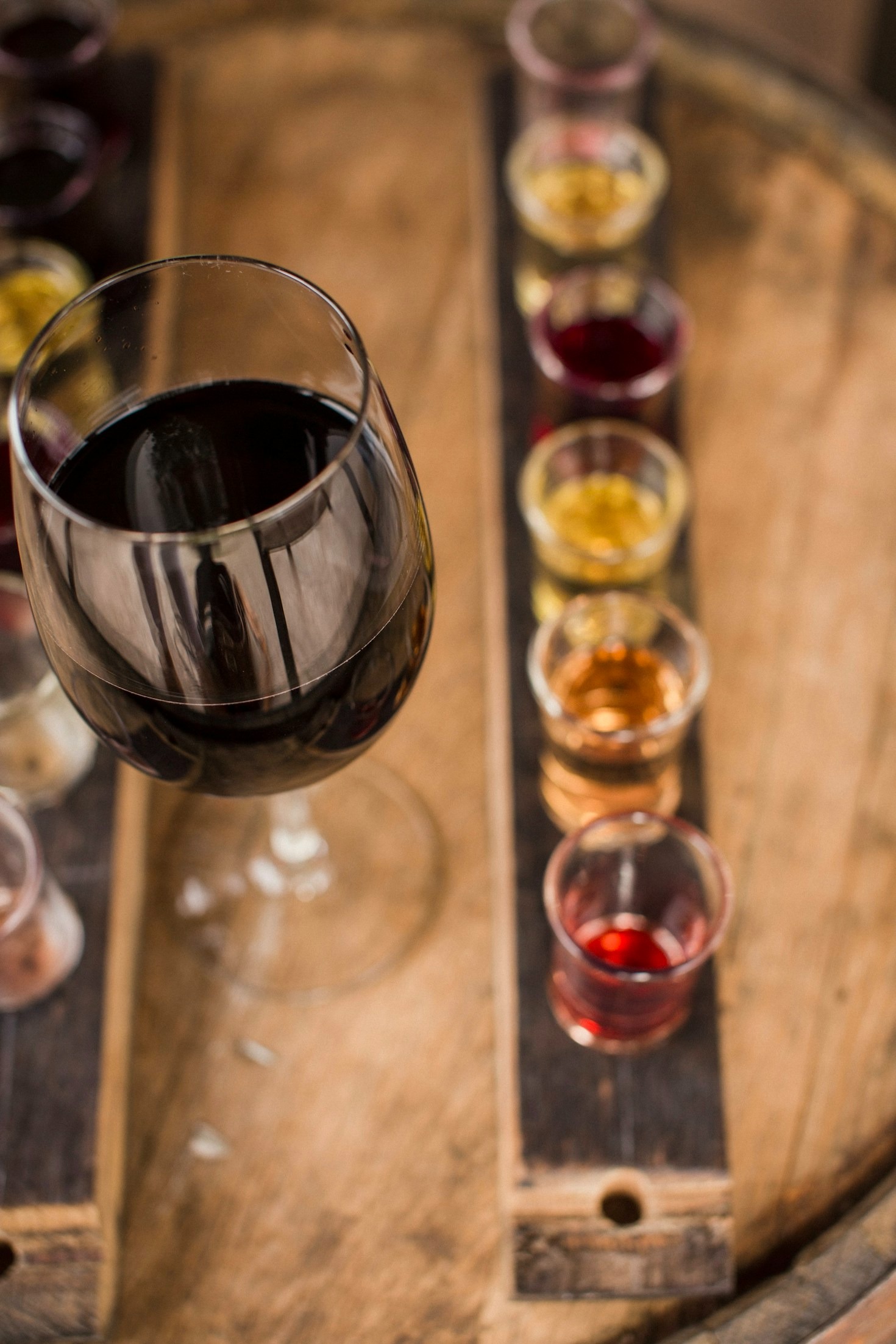 Guida pratica agli abbinamenti perfetti tra cibo e vino